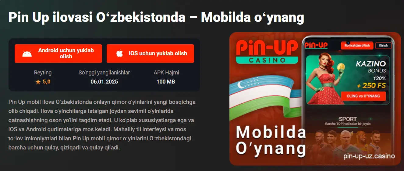 pin up apk